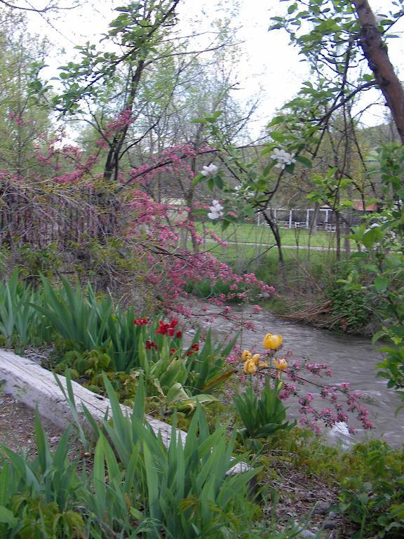 Riverside Hot Springs Inn & Spa - Adults Only Lava Hot Springs Bagian luar foto
